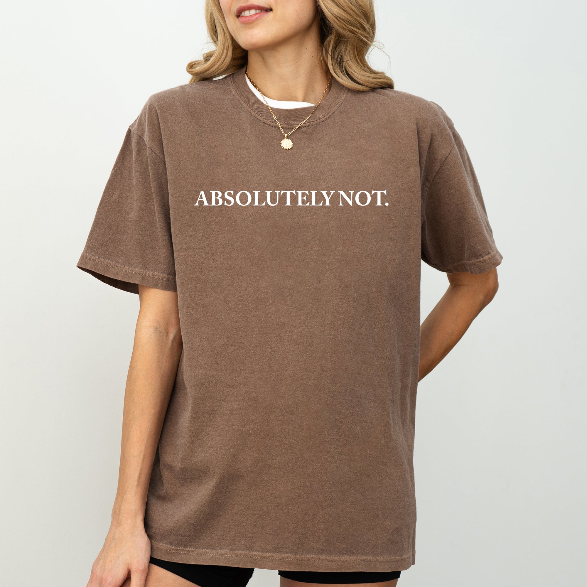 Absolutely Not Funny Sassy Minimal Aesthetic Meme Style Graphic Comfort Colors Tee