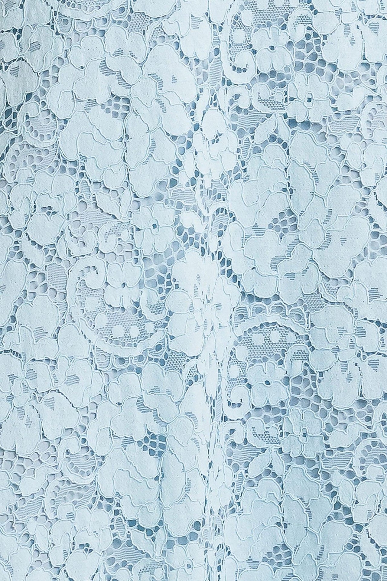 PURELY ROMANTIC WOVEN LACE MIDI SKIRT