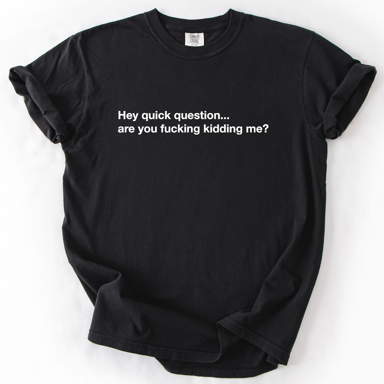 Hey Quick Question, Are You Kidding Me, Vulgar, Sassy, Sarcastic, Minimalist, Funny Comfort Colors Tee