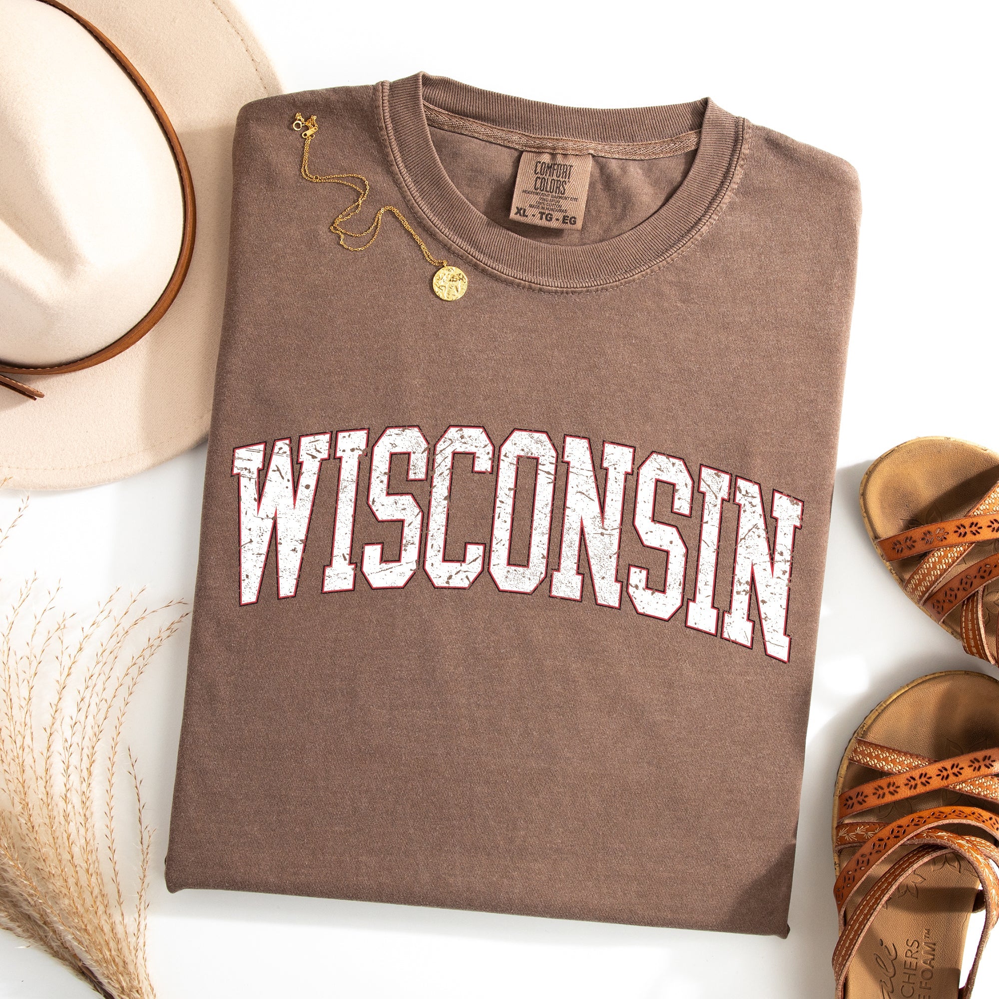 Wisconsin Football Game Day Tailgate Party University State Fans Unite Comfort Colors Tee